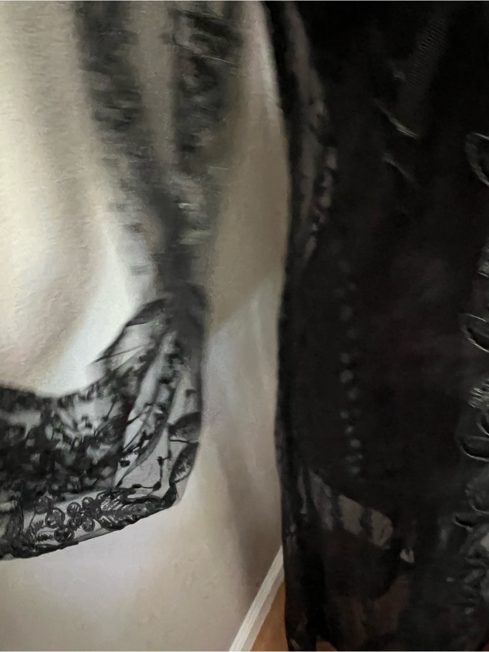 Zara Embroidered Semi-Sheer Tulle Dress Gothic Black Sz Xs NWT - Picture 3 of 14